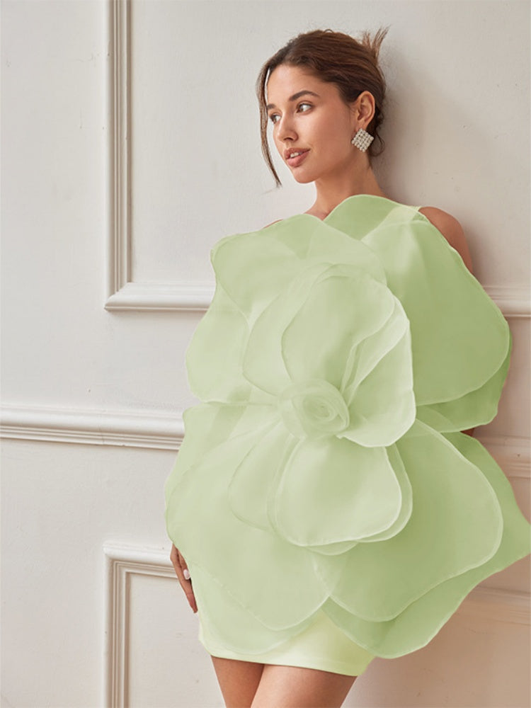 Stylish Banquet Mini Dress Women