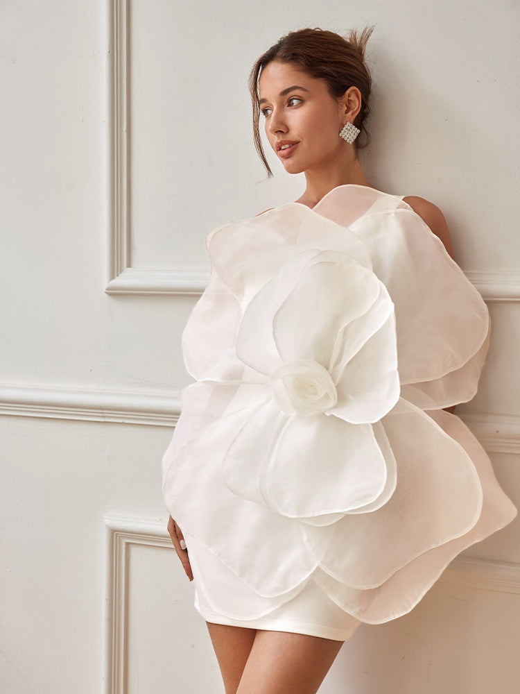 Stylish Banquet Mini Dress Women